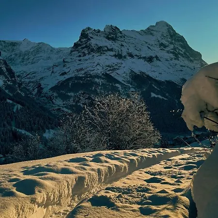 Holiday home Stylish Chalet With Breathtaking View Grindelwald
