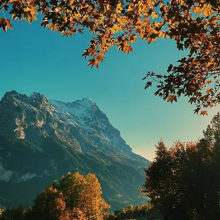 Stylish Chalet With Breathtaking View *