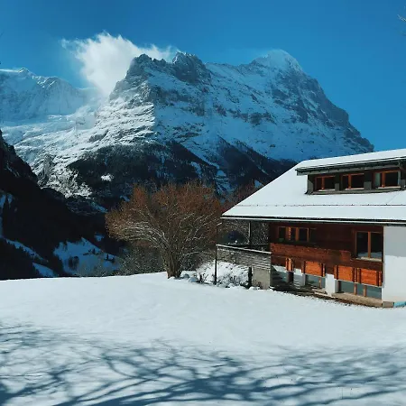 Stylish Chalet With Breathtaking View Grindelwald