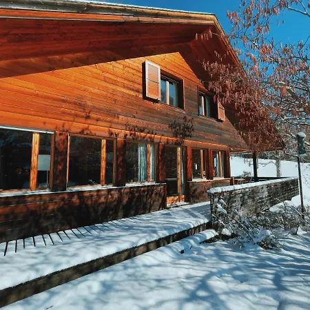 Holiday home Stylish Chalet With Breathtaking View Grindelwald