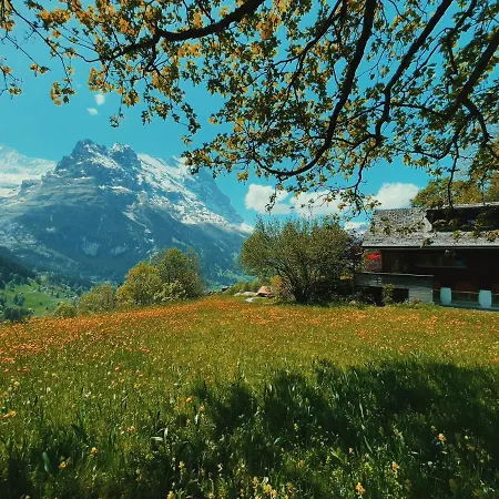 Stylish Chalet With Breathtaking View *